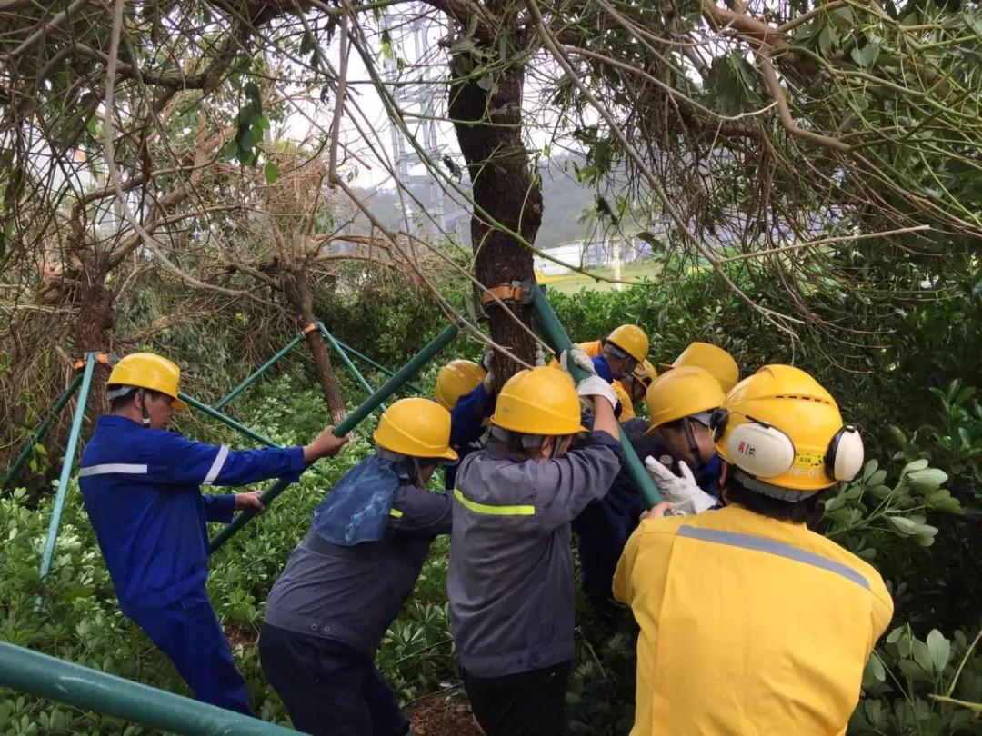 汕尾海丰台风最新消息