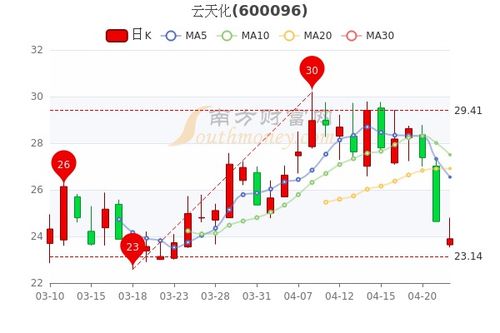 云天化股份最新消息全面解析