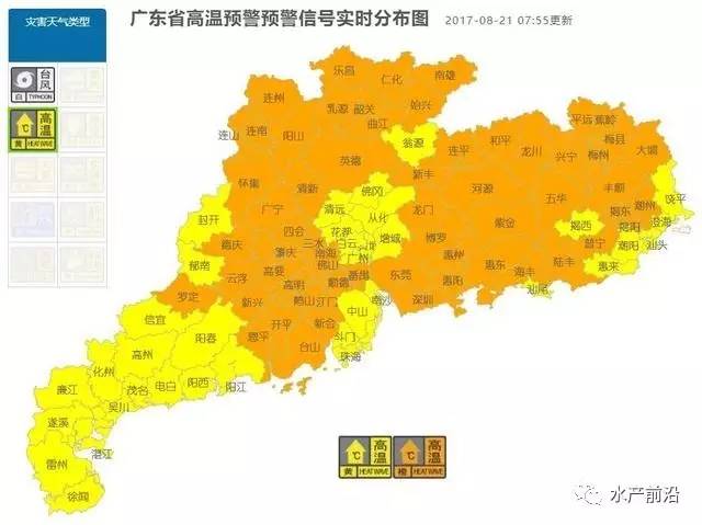 香港天鸽台风最新消息，影响及应对措施