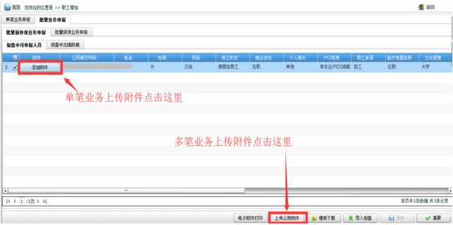 邮箱获取最新地址四虎，深度解析与实用指南