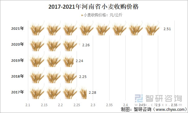 小麦收购价格最新行情分析